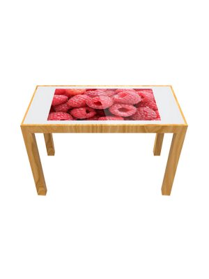 ZXTLCD touch table
